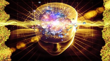 The 5 Waves Of Consciousness
