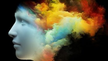 “Free Will” is Nothing but an Allusion