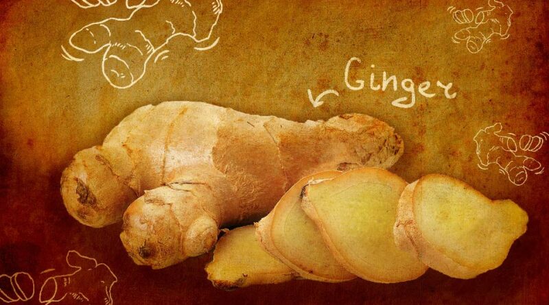 ginger root benefits