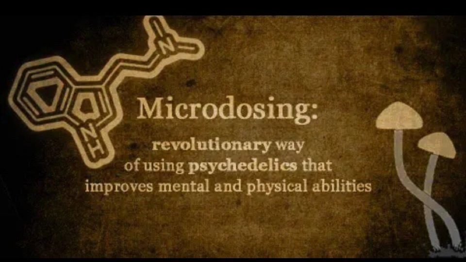 microdosing lsd