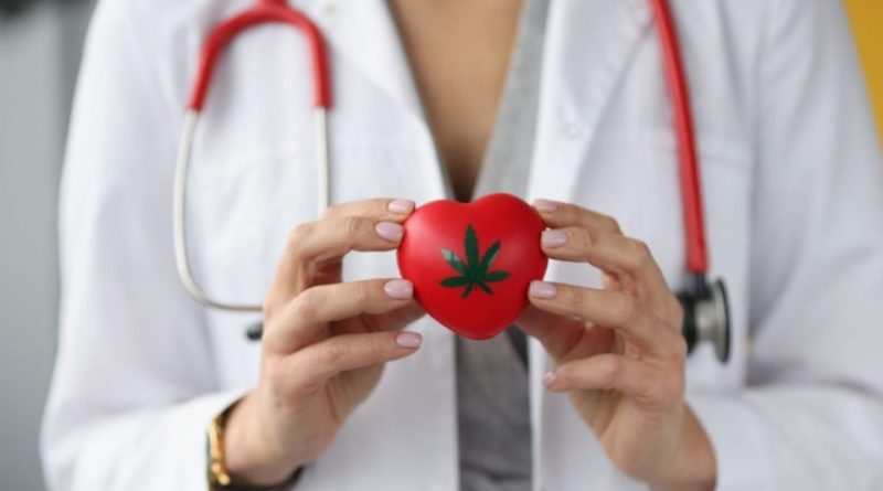 cannabis heart attack risk